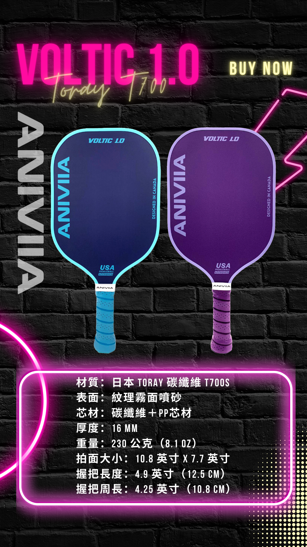 Aniviia 球拍|Voltic 1.0(醉紫傾藍 奪目登場)