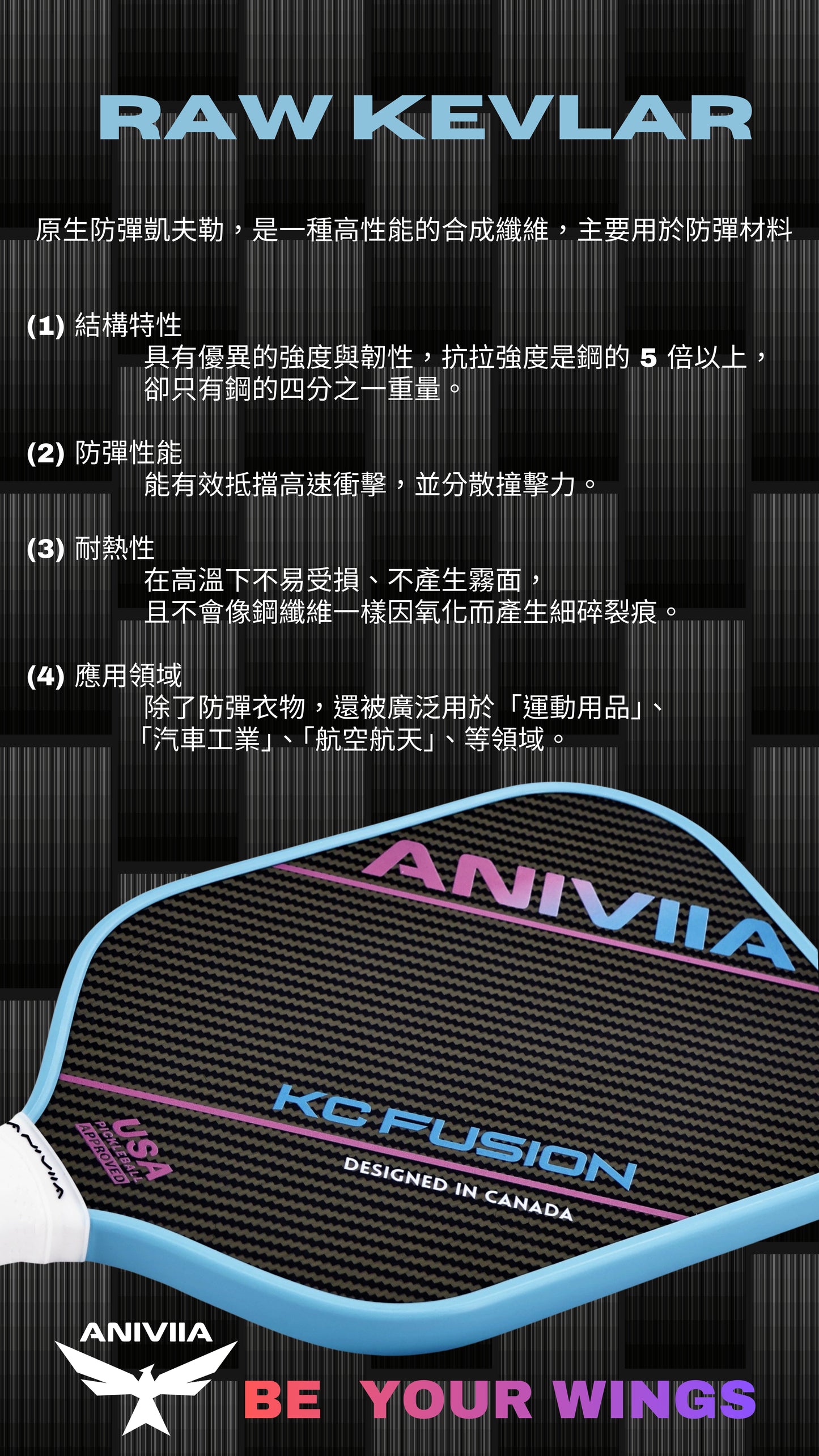 Aniviia 球拍|KC Fusion(2025 新球拍!)
